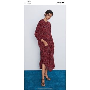 Zara Animal Print Dress